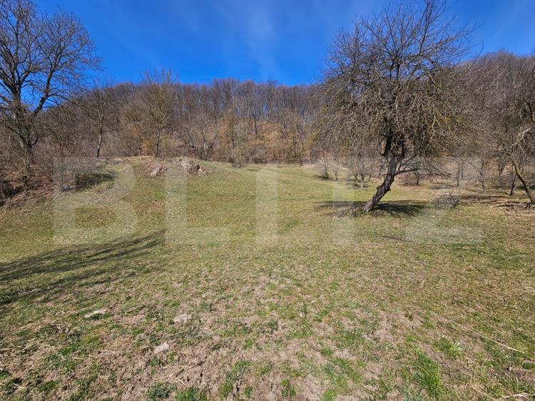 Casă cu teren generos 6.820 mp, lângă pădure și râu – Almașu Mare