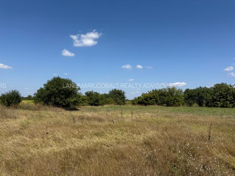 Teren intravilan 2.140 mp Otopeni – dezmembrat cadastral pentru 4 case - 3