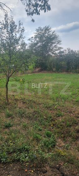 Casa cu 2 camere, 74.34 mp, zona Ceanu Mare - 19
