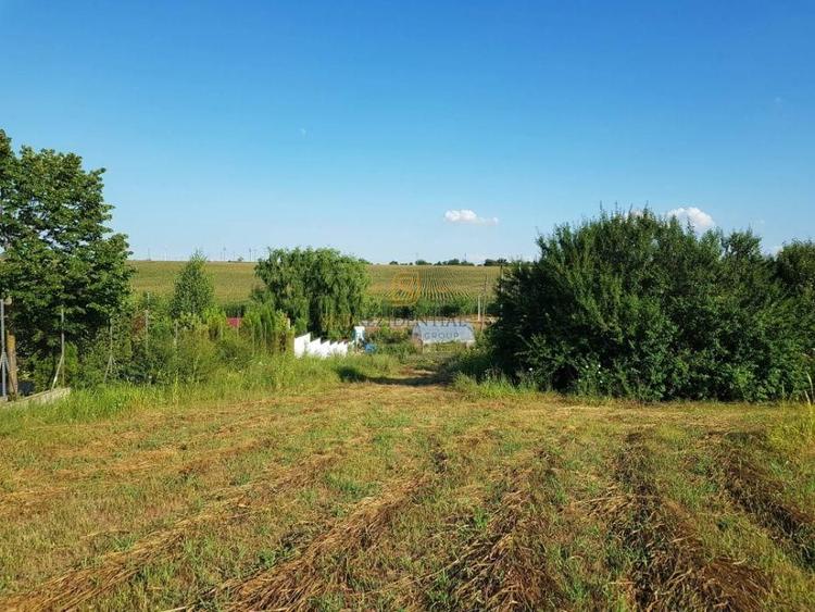 Teren intravilan – Adunatii Copaceni | 3.399 mp | Ideal investitie