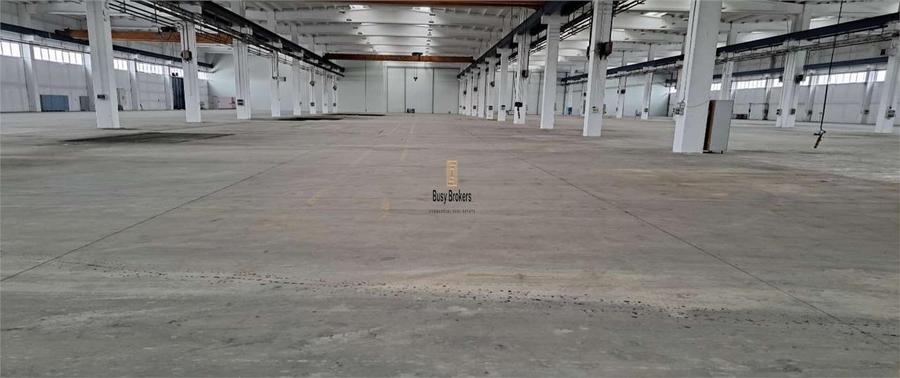 Spatiu Industrial - 9750 mp - Productie - Depozitare - Distributie
