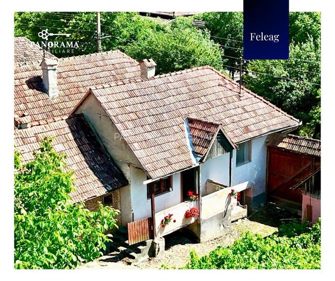 Casă tradițională de vânzare în Transilvania – gospodărie autentică - 9