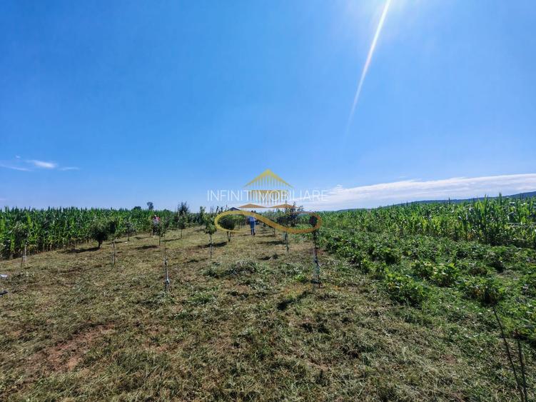 Casă de vânzare în Traian– 10 minute de BACAU - 13