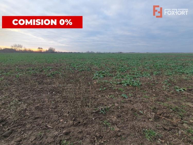 Comision 0% Teren extravilan agricol 21,32 ha sau intravilan cu PUZ aprobat
