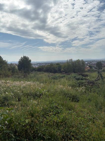 Teren intravilan, 1000 ari, Str. Miron Costin