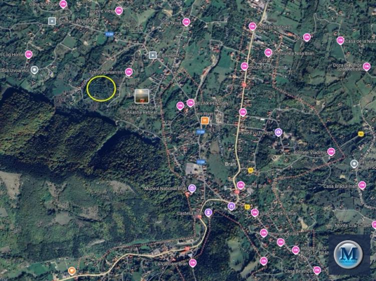 Teren intravilan de vanzare in Bran, 24000 mp #16561