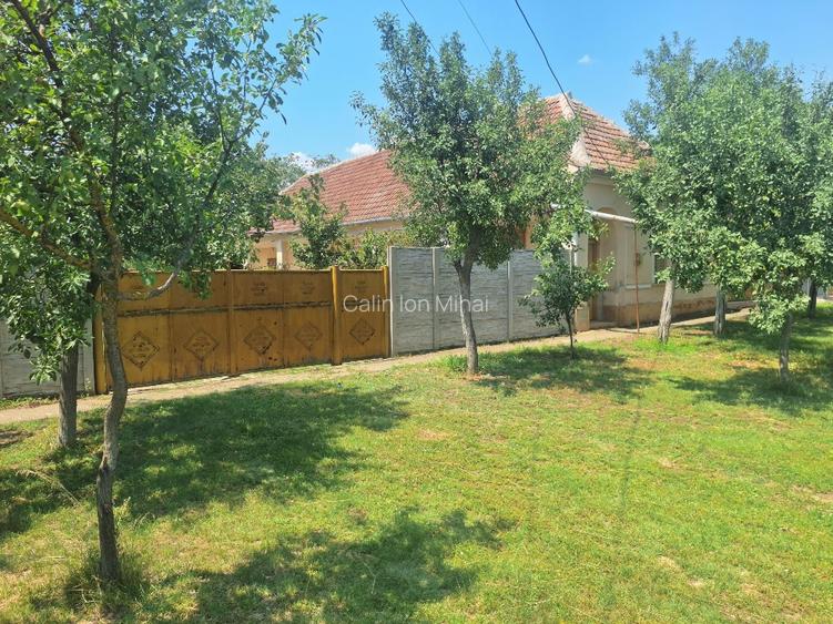 Vand doua case cu teren livada nuci si pruni - 4