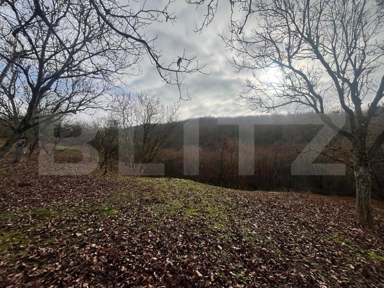 Teren extravilan, 4 hectare, langa livada de mere Ghinda