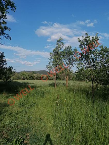 De vânzare teren intravilan în Estelnic!