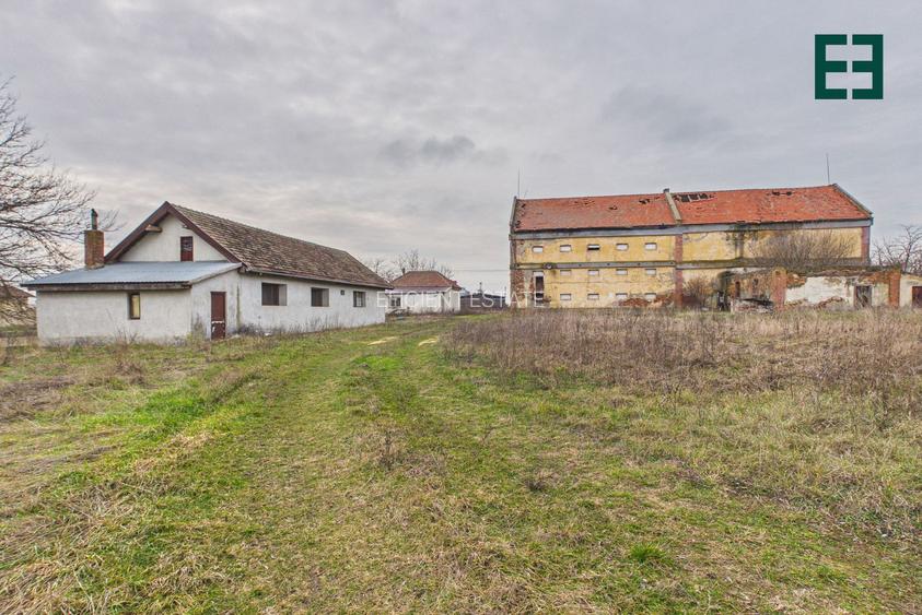 Teren de 8.632 mp + Proprietate Industrială - Voiteg - Județul Timiș - 2