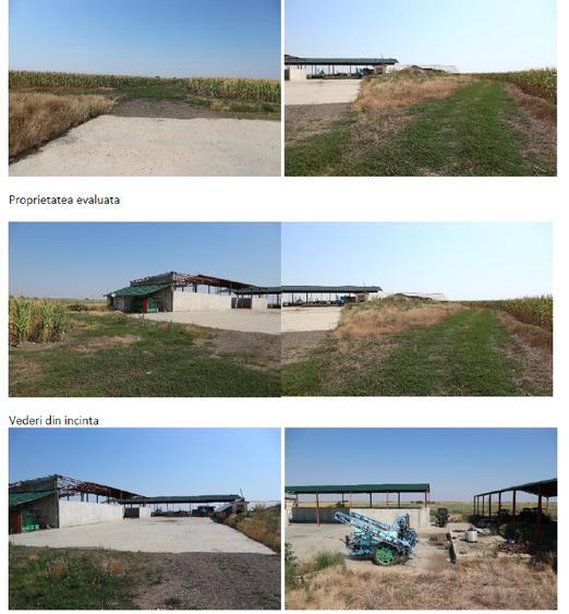 Proprietate imobiliara industrial-agricola – Com. Becicherecu Mic, jud. Timis