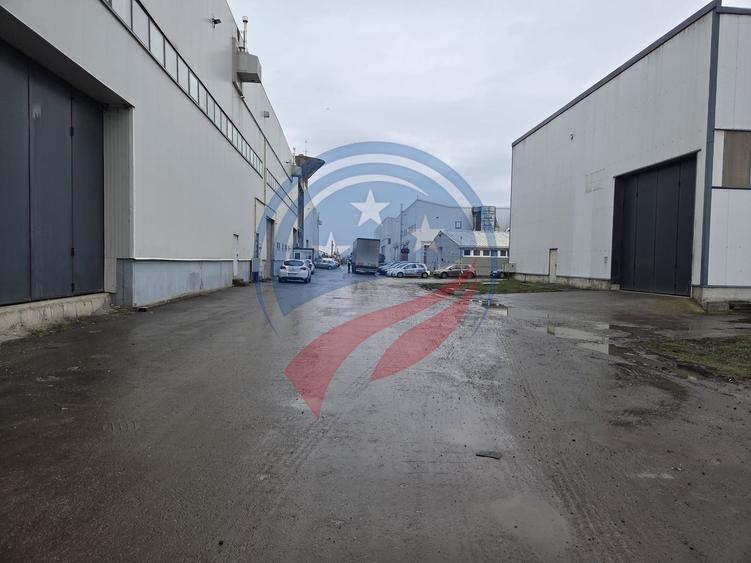Hală industrială nouă – oportunitate investiție | Vidrasău, Mureș