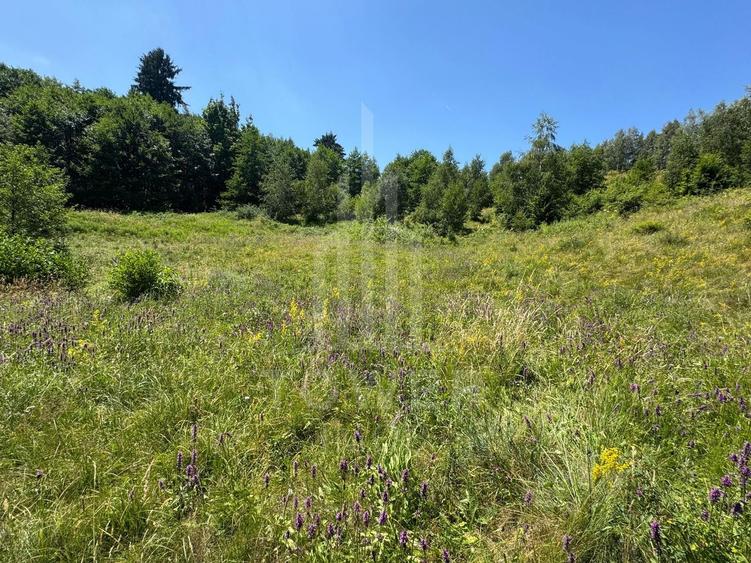 Teren intravilan 4600mp - 55 EUR/mp - EXCLUSIVITATE CISNADIOARA - COMISION 0%