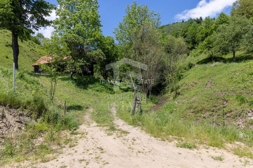 Moieciu de Jos |Teren 11.381 mp | Panoramă, potențial turistic - 6