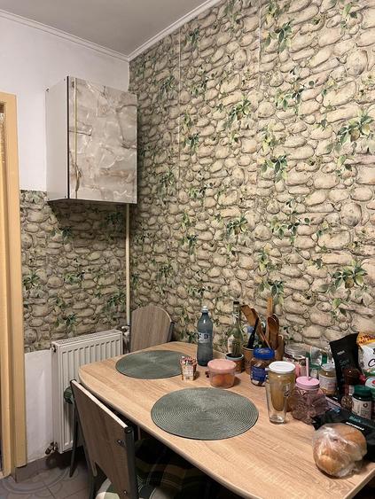Apartament cu 2 camere - zona Tudor Vladimirescu - Podu de Fier - Pet Friendly