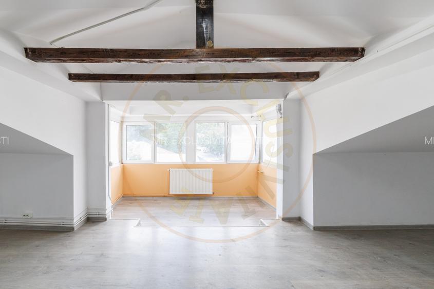 Spatiu Comercial - Ultracentral - Armand Calinescu, Pitesti! - 3