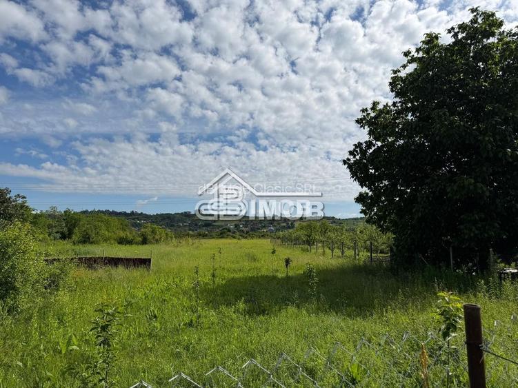 2.423 m² intravilan + căsuță mobilată | Valea Voievozilor Valea Voievo - 3