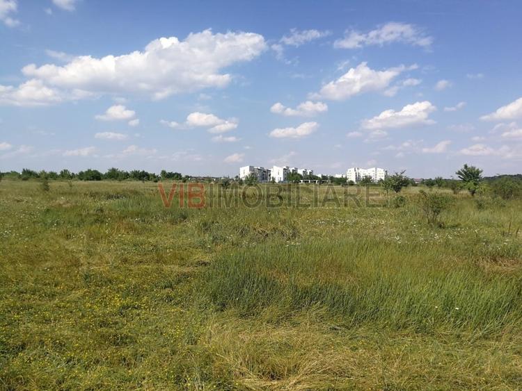 Baneasa - Piscul Reghiului, teren intravilan, suprafata 727 mp