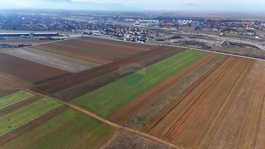 Teren extravilan | 14,600mp | Tărlungeni