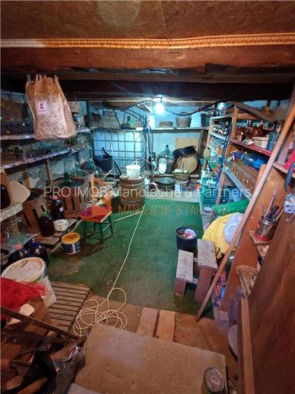 EXCLUSIVITATE! Casa+teren si cabana de lemn zona Naeni - 22