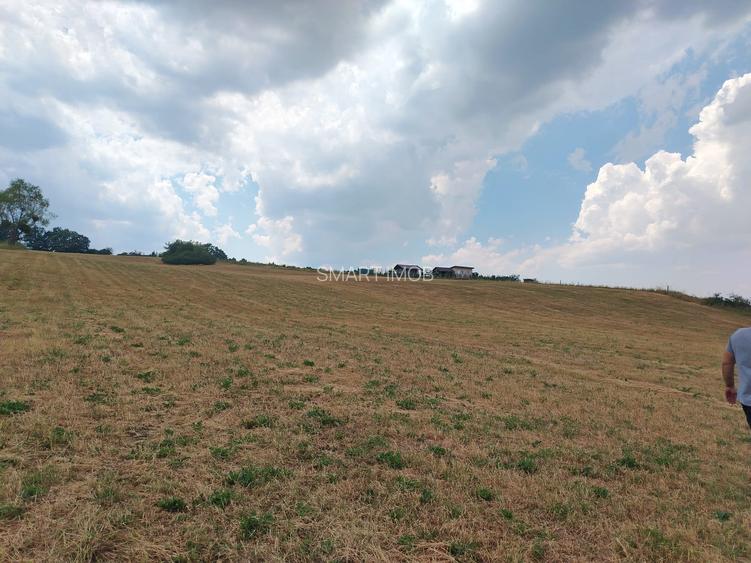 2 Parcele de teren extravilan zona Bradet Pret 3000eur/ar neg usor - 2