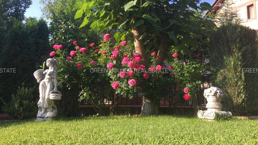 Vila zona Ultracentrala - 20