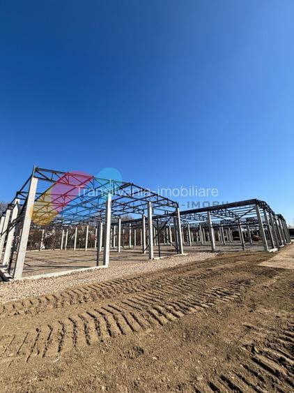 Hale de vânzare – 600 mp, open space, acces TIR, zona intrare Baciu - 6