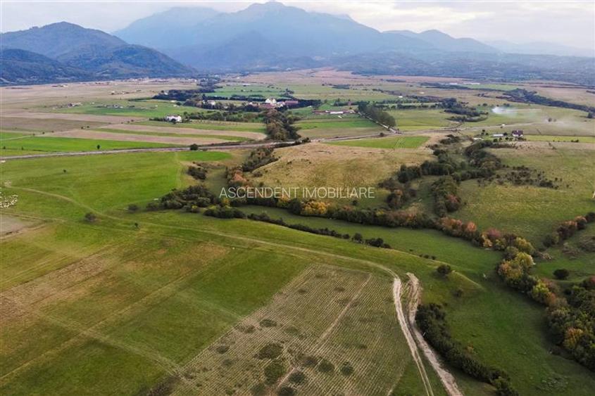 FILM! Parcela imprejmuita,design casa,aviz constructie,1.085 mp,Panicel,Rasnov - 12