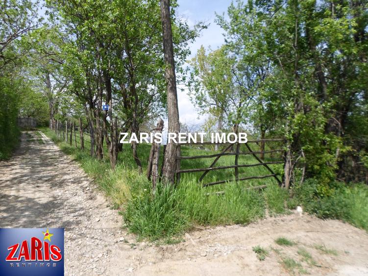 Vanzare 3658 mp teren intravilan in Predeal-Sarari, Prahova - 10