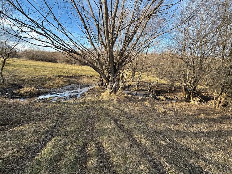 Teren intravilan 500 mp sau 1000 mp în Zarnesti –Tohanita cu parau(izvor) - 5