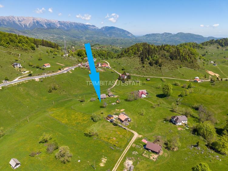 Fundata | Teren de vanzare | 7,656 mp + Cabane tip A Frame - 6