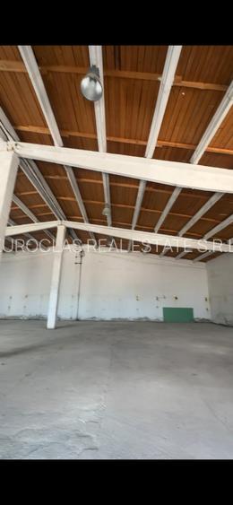 Hala industriala - Ovidiu - Acces A2 - 460.000 euro (Cod E8+E10) - 7