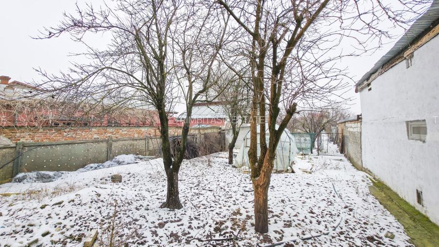 Casă 11 camere cu livadă pe Strada Republicii, Dragomirești-Deal - 32