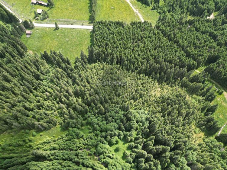 Teren extravilan 5000 MP Comandau - 11