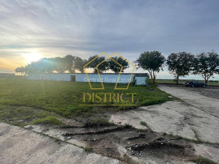 Teren de servicii si hale industriale | Giarmata - 6