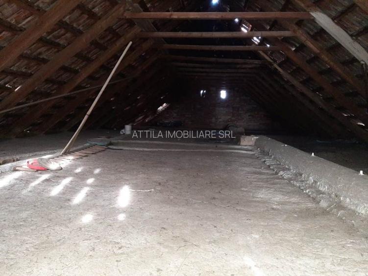 Sanmihaiu Roman 2 case vechi 110000 euro - 13