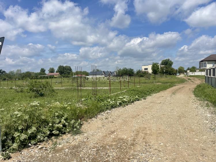 Domnesti, Str Teiului, teren 1500mp, 40ml deschidere, utilitati. - 6