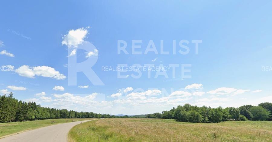 Teren intravilan 4,2 ha de vânzare| ideal investiție| POT 40%| Teișani - 3