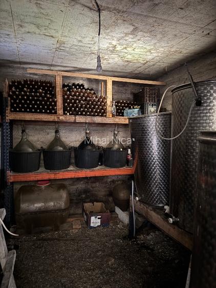 Cabana Montana- Pensiune- Sala de evenimente (Bârlogul urșilor) - 8