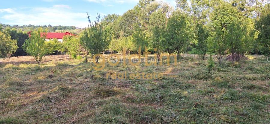 CASA IN ZONA LINISTITA/MOBILATA/UTILATA/TEREN IMPRESIONANT 5000MP/CORNU/PRAHOVA - 51