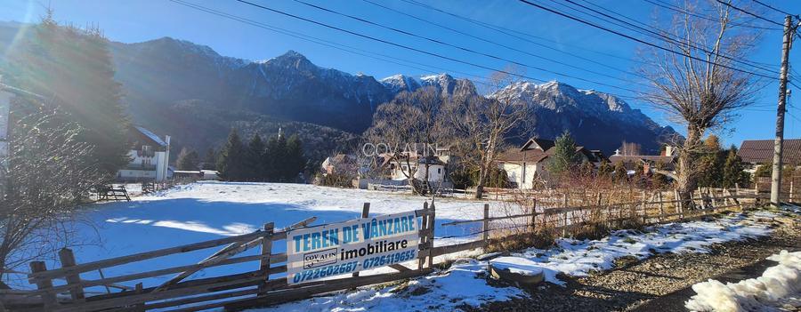 Teren 2.675 mp in Poiana Tapului priveliste peisagistică spre munții Bucegi! - 3