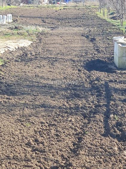 Vand două case pe un teren de 1500 m², în Lumina  - 12