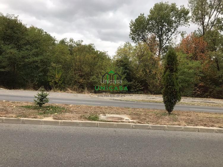 Teren Dem Radulescu / 1731mp - 2