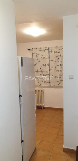 Tineretului-Parc,Garsoniera Vedere Parc - 8