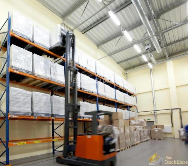 Hale de inchiriat: 275-450-550mp- Bragadiru - 3