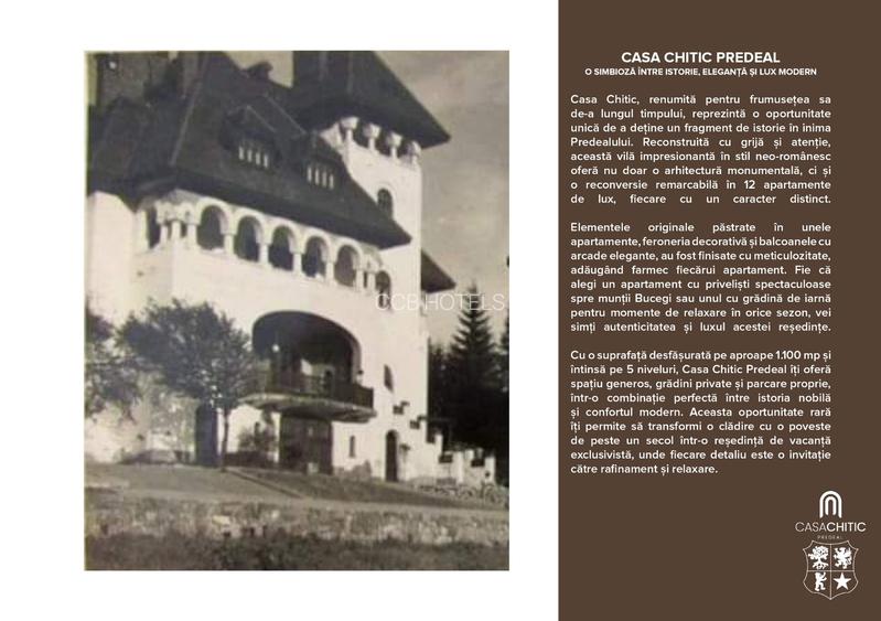 Apartament de vacanta- TVA 0% - Vila in stil Neo-Romanesc - 12