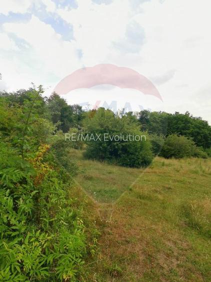 Teren aproape de pădure, situat într-o zonă aerisită - 10