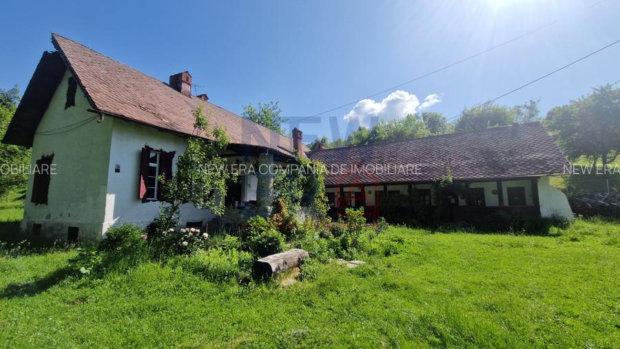 CONACUL GEORGE STEPHANESCU - 2