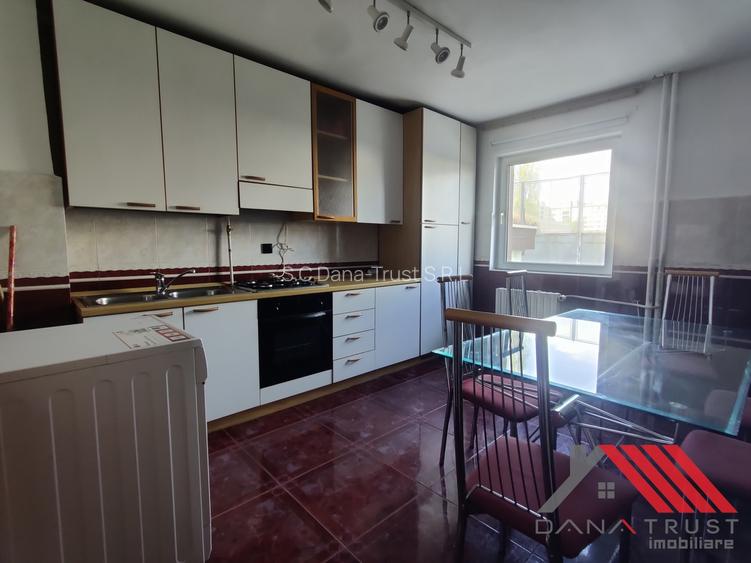 Semicemtral - Pe malul Begai, langa Nokia, - 2