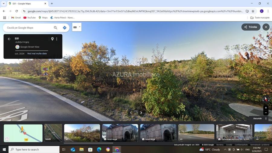 Vanzare teren 10000 mp, stradal DN 7, Moraresti - 4